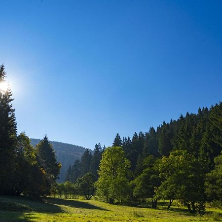 The Conscious Farmer Bed And Breakfast Sauerland 빌링겐 외부 사진
