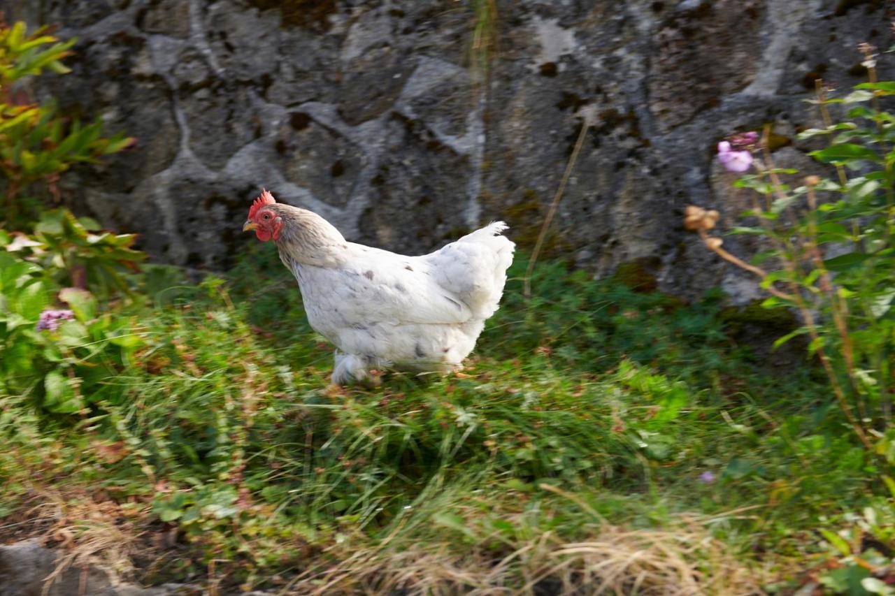 The Conscious Farmer Bed And Breakfast Sauerland 빌링겐 외부 사진