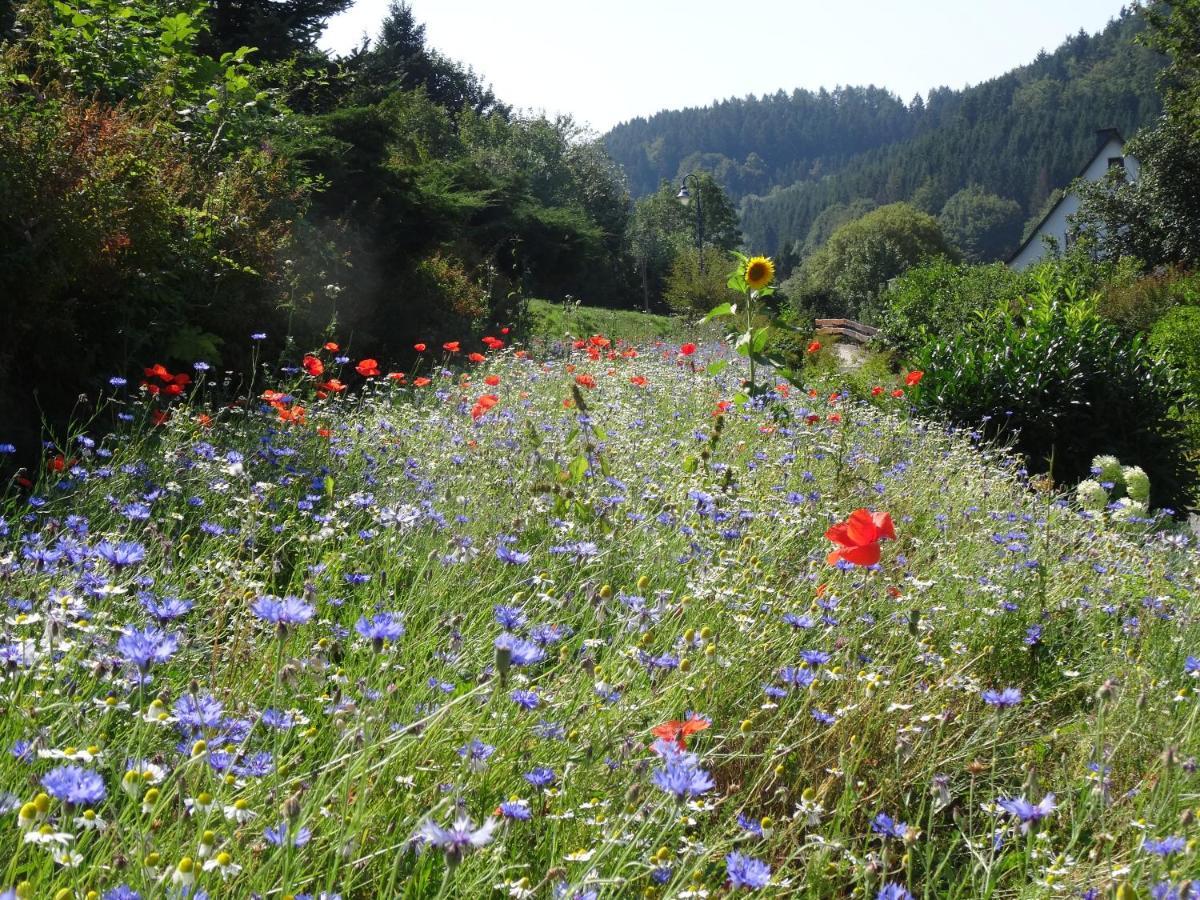 The Conscious Farmer Bed And Breakfast Sauerland 빌링겐 외부 사진