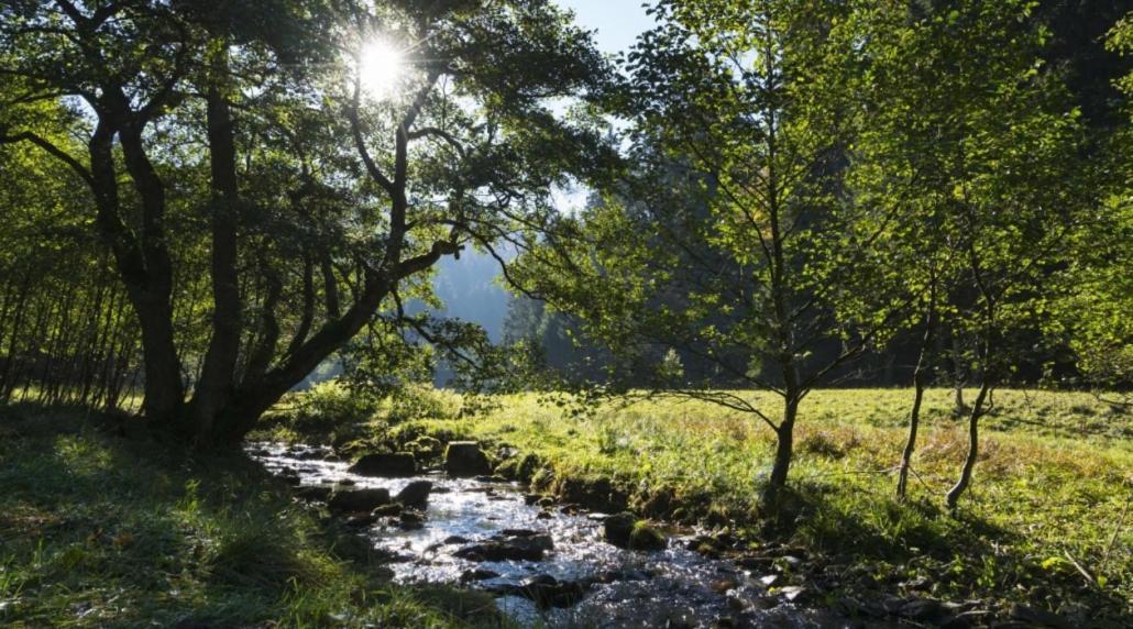 The Conscious Farmer Bed And Breakfast Sauerland 빌링겐 외부 사진