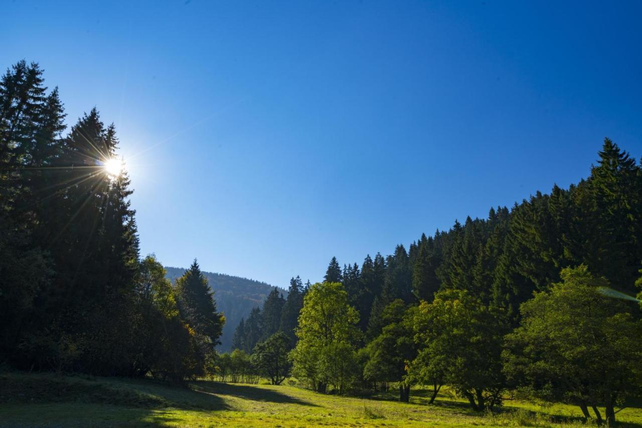 The Conscious Farmer Bed And Breakfast Sauerland 빌링겐 외부 사진